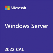 Microsoft R18-06448 Windows Server CAL 2022 English 1pk DSP OEI 1 Clt User CAL