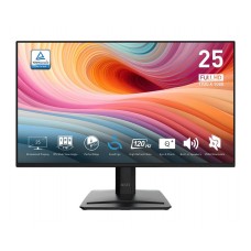 LCD Monitor|MSI|24.5